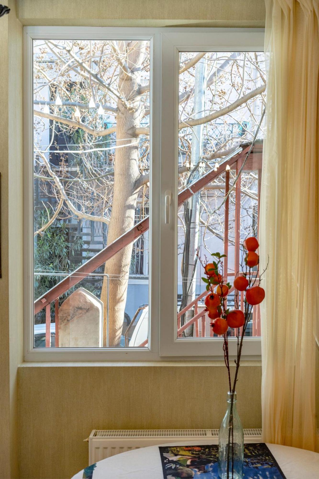 Apartment Old Center- Adventurous Hosted By Giorgio